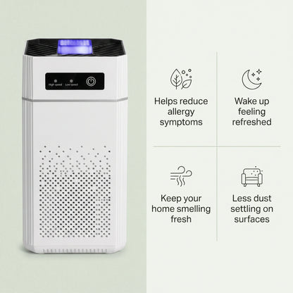 Marivo Haus Breathguard Air Purifier